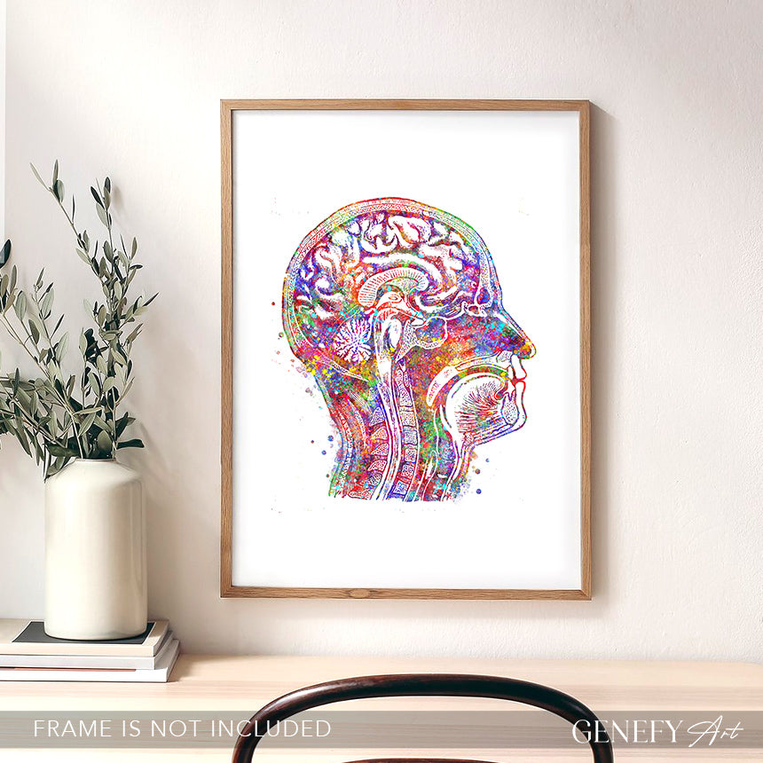 Brain Anatomy Watercolour Art Print