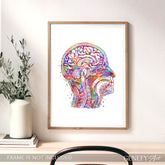 Brain Anatomy Watercolour Art Print