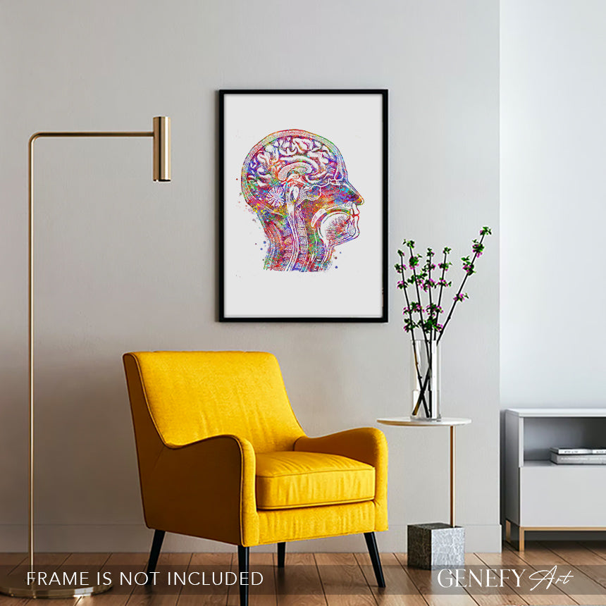 Brain Anatomy Watercolour Art Print