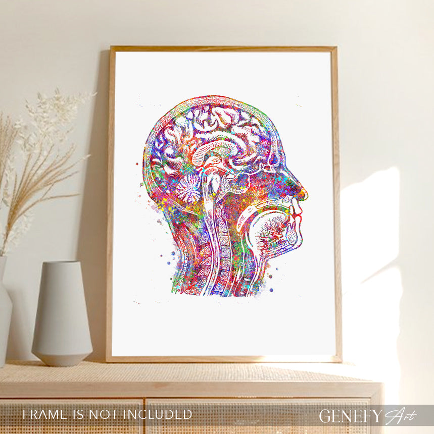 Brain Anatomy Watercolour Art Print