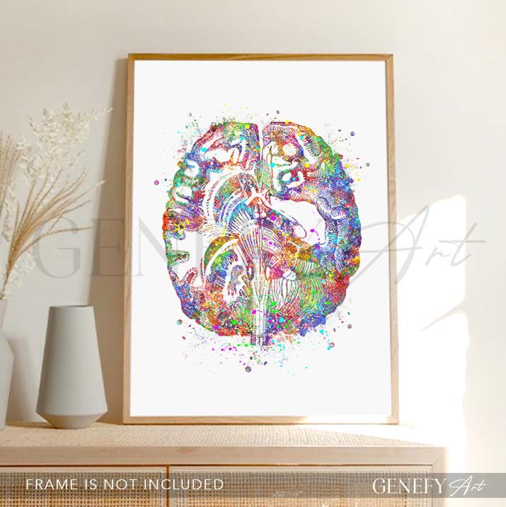 Brain Anatomy Watercolour Art Print