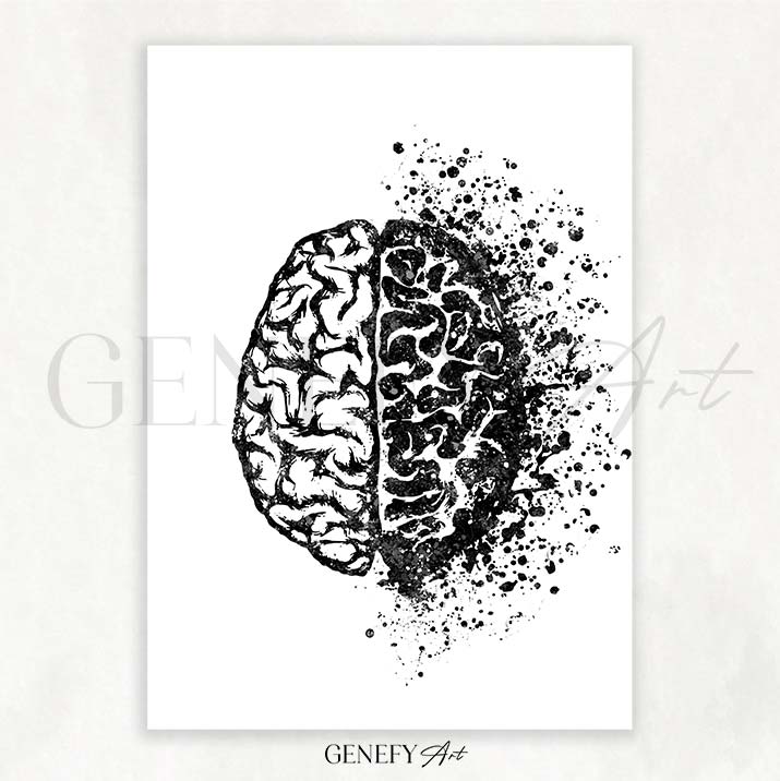 Brain Anatomy Watercolour Art Print