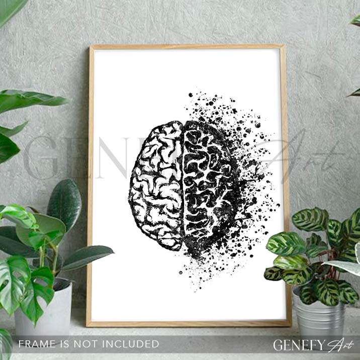 Brain Anatomy Watercolour Art Print