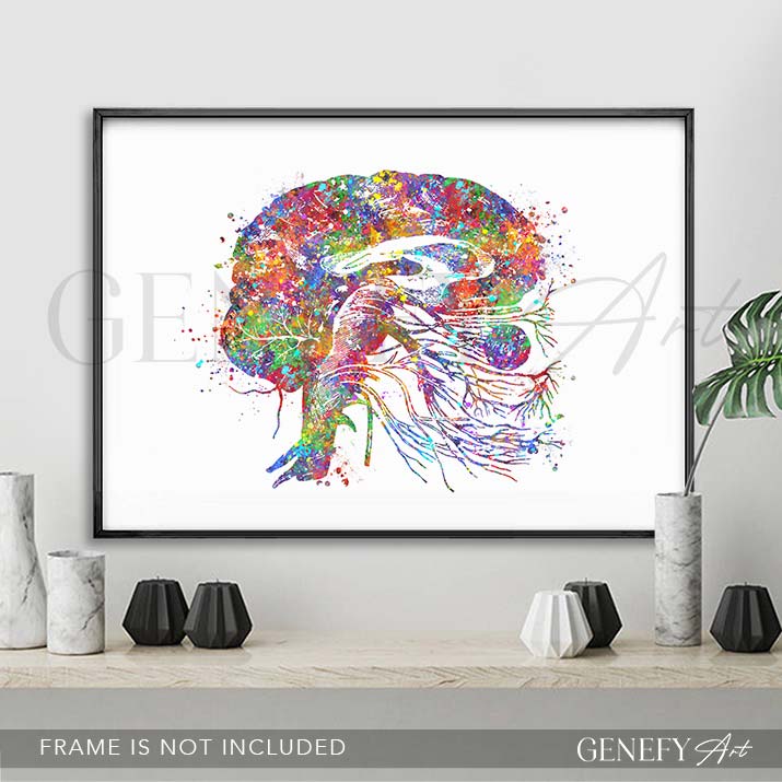 Brain Cranial Nerves Watercolour Print - Genefy Art