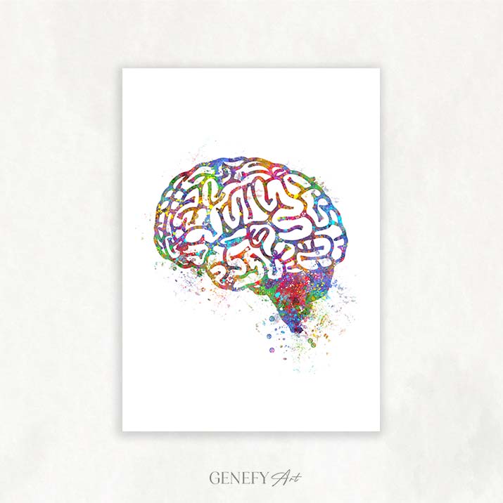 Brain Anatomy Watercolour Art Print
