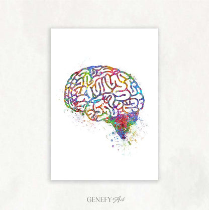 Brain Anatomy Watercolour Art Print
