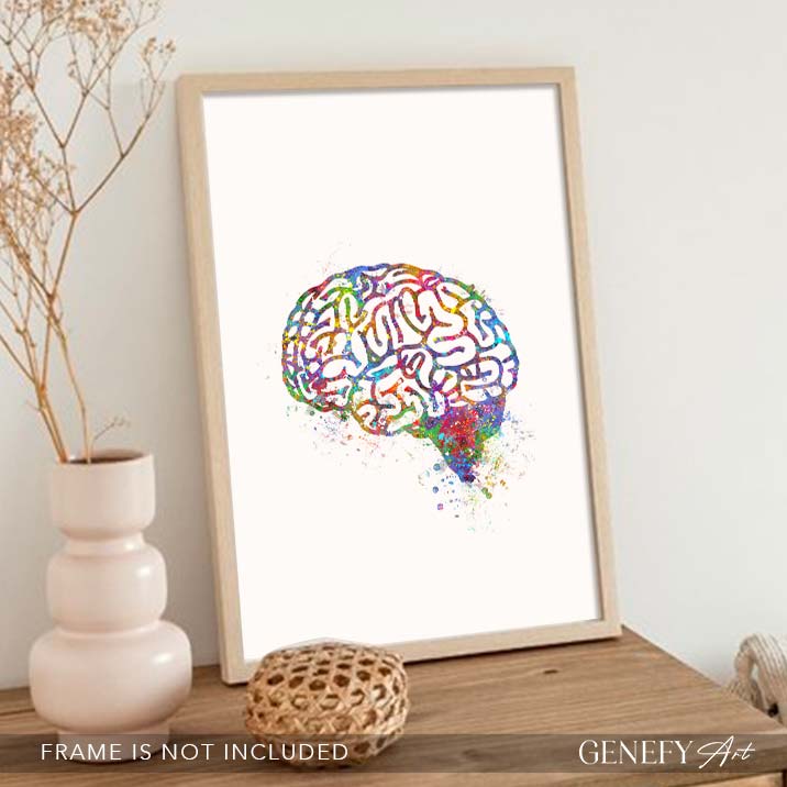 Brain Anatomy Watercolour Art Print