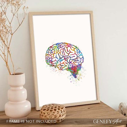 Brain Anatomy Watercolour Art Print