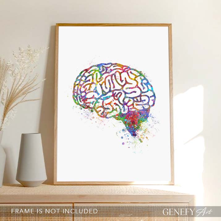 Brain Anatomy Watercolour Art Print