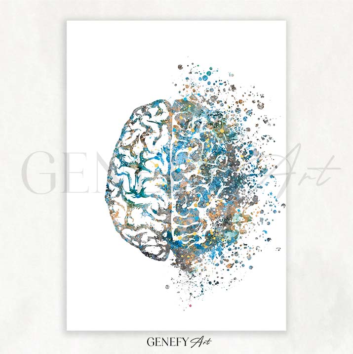 Brain Anatomy Watercolour Art Print