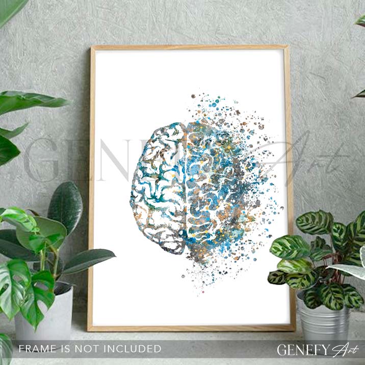 Brain Anatomy Watercolour Art Print