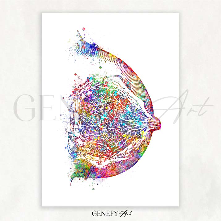 Breast Anatomy Watercolour Art Print