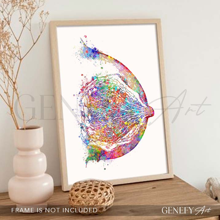Breast Anatomy Watercolour Art Print