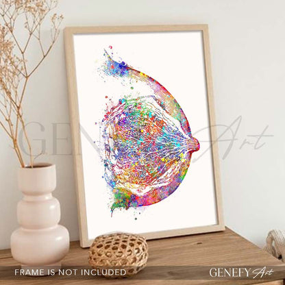 Breast Anatomy Watercolour Art Print