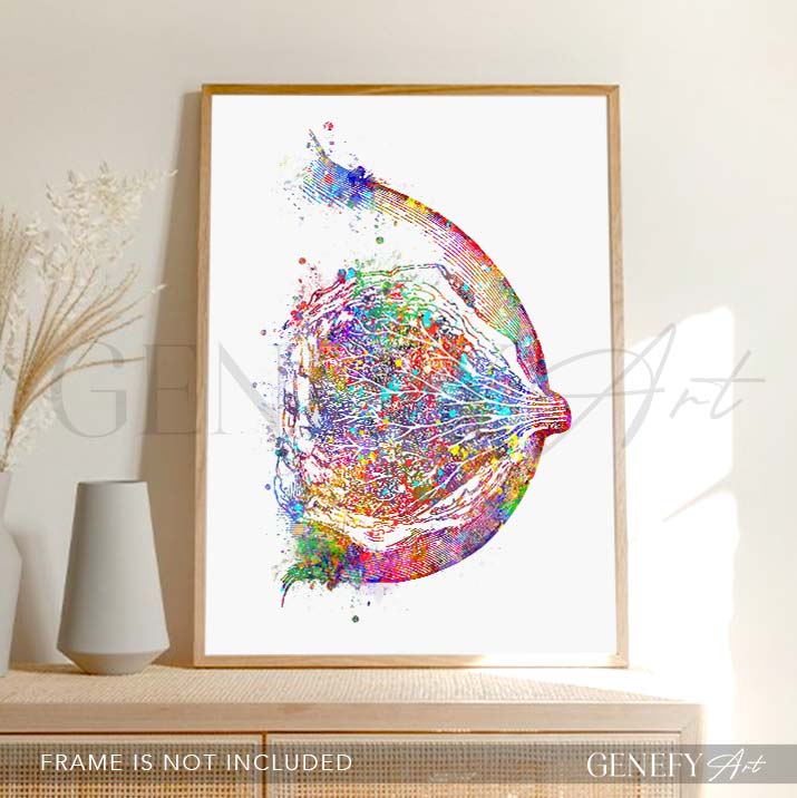 Breast Anatomy Watercolour Art Print