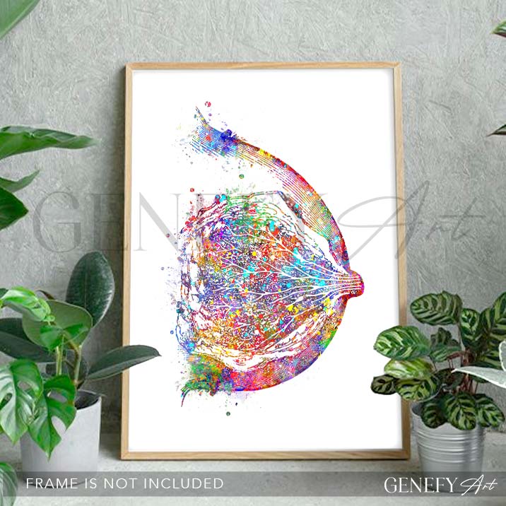 Breast Anatomy Watercolour Art Print