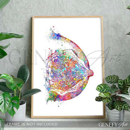 Breast Anatomy Watercolour Art Print