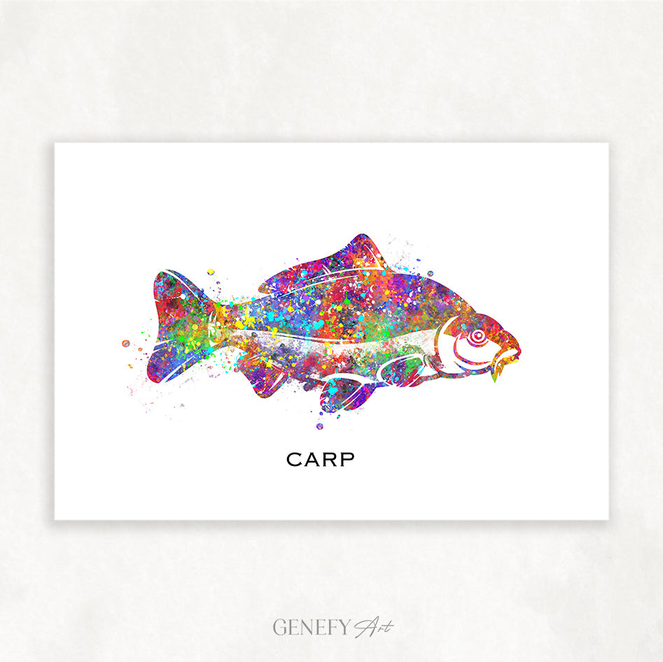 Carp Fish Watercolour Print