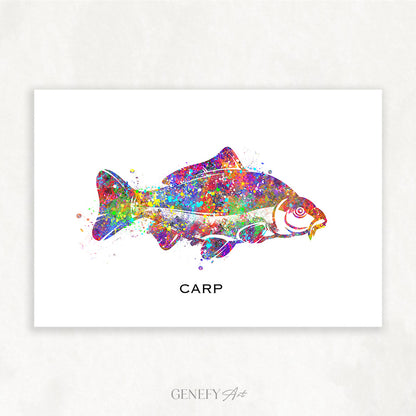 Carp Fish Watercolour Print