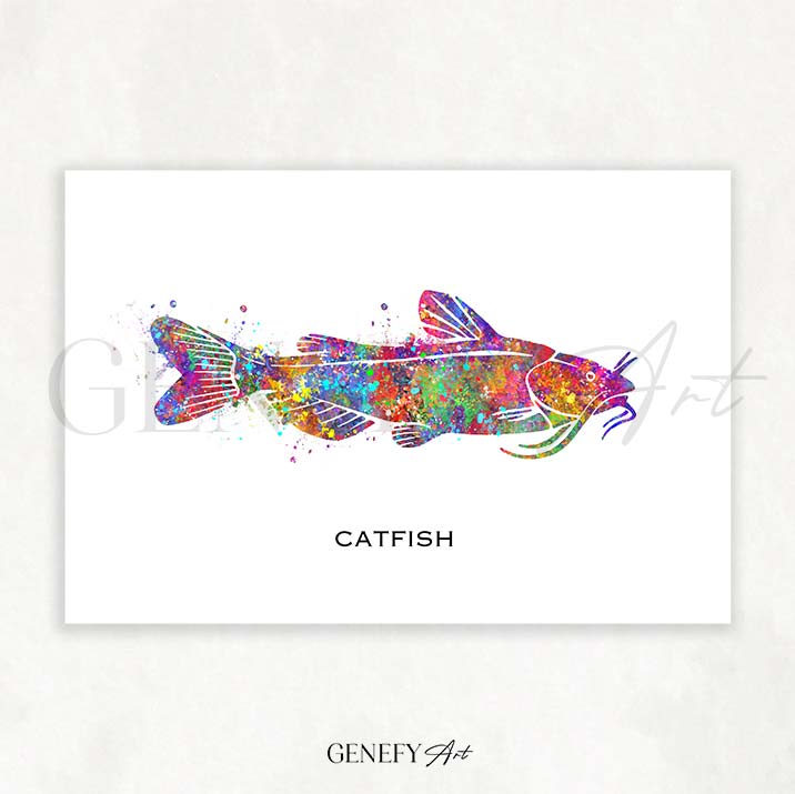 Catfish Watercolour Print