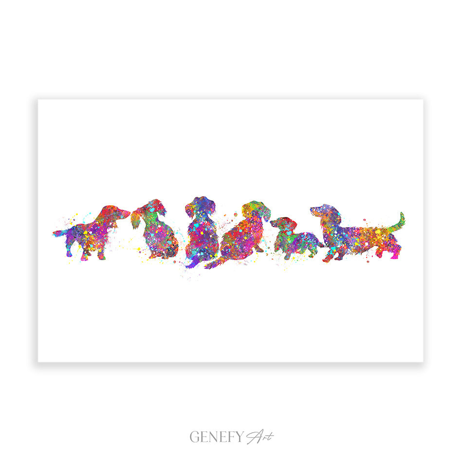 Longhaired Dachshund Watercolour Print