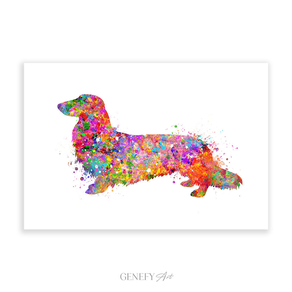 Longhaired  Dachshund Watercolour Print