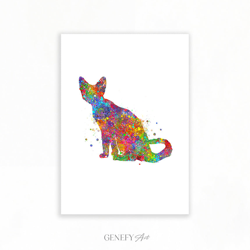 Devon Rex Cat Poster