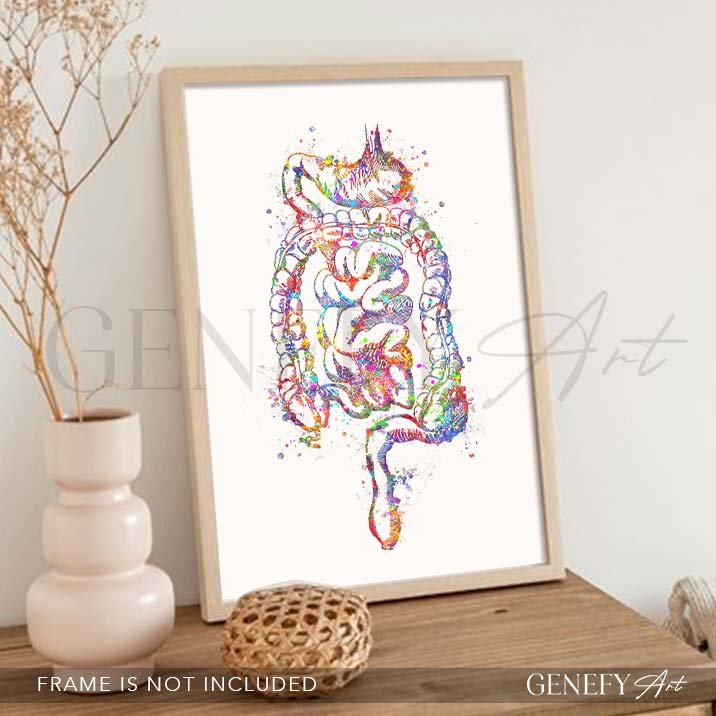Digestive Tract Anatomy Watercolour Print