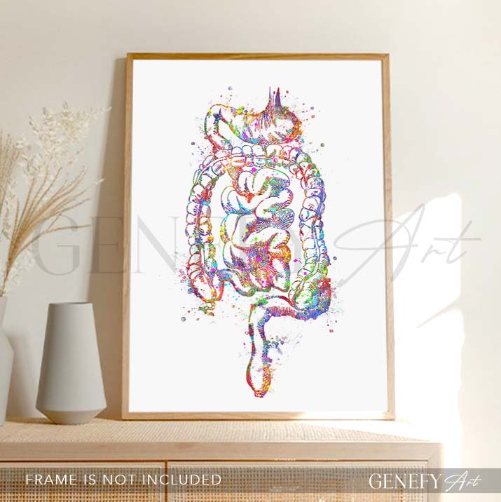 Digestive Tract Anatomy Watercolour Print