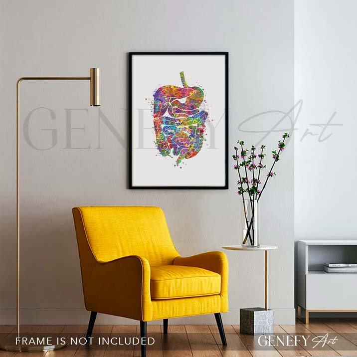 Digestive Tract Anatomy Watercolour Print