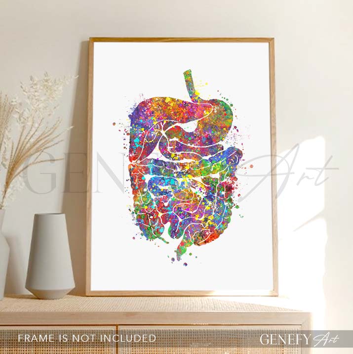 Digestive Tract Anatomy Watercolour Print