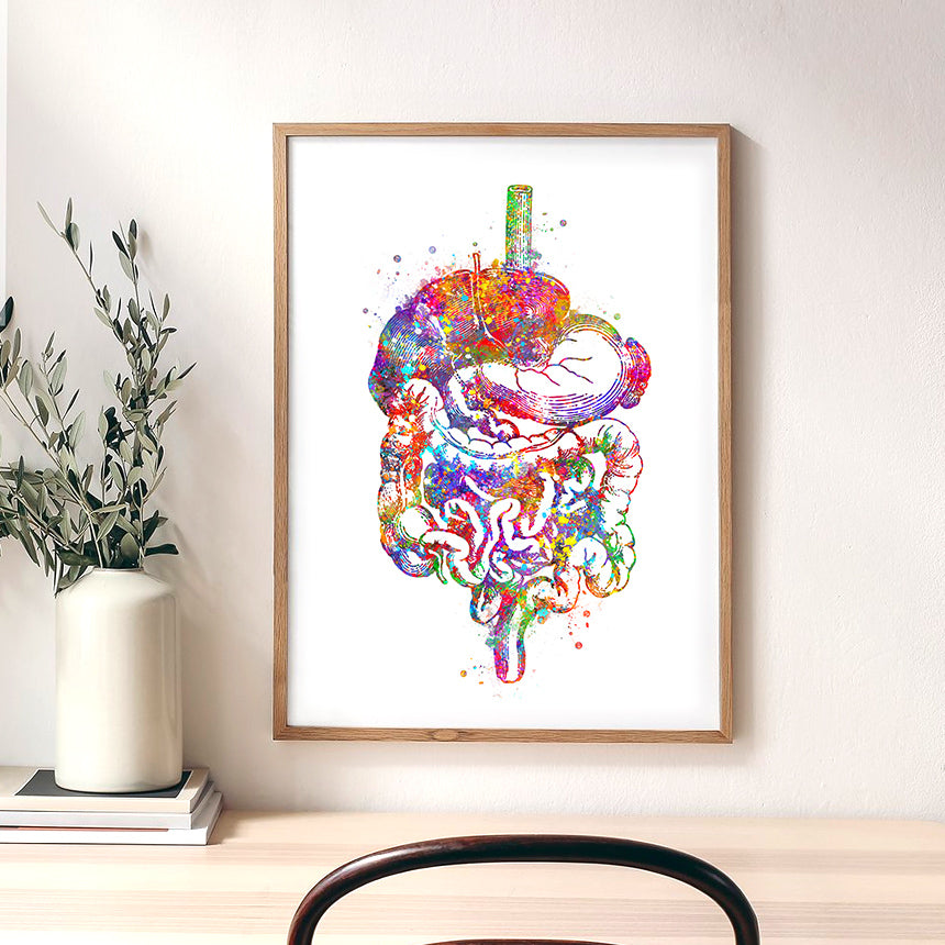 Digestive Tract Anatomy Watercolour Print