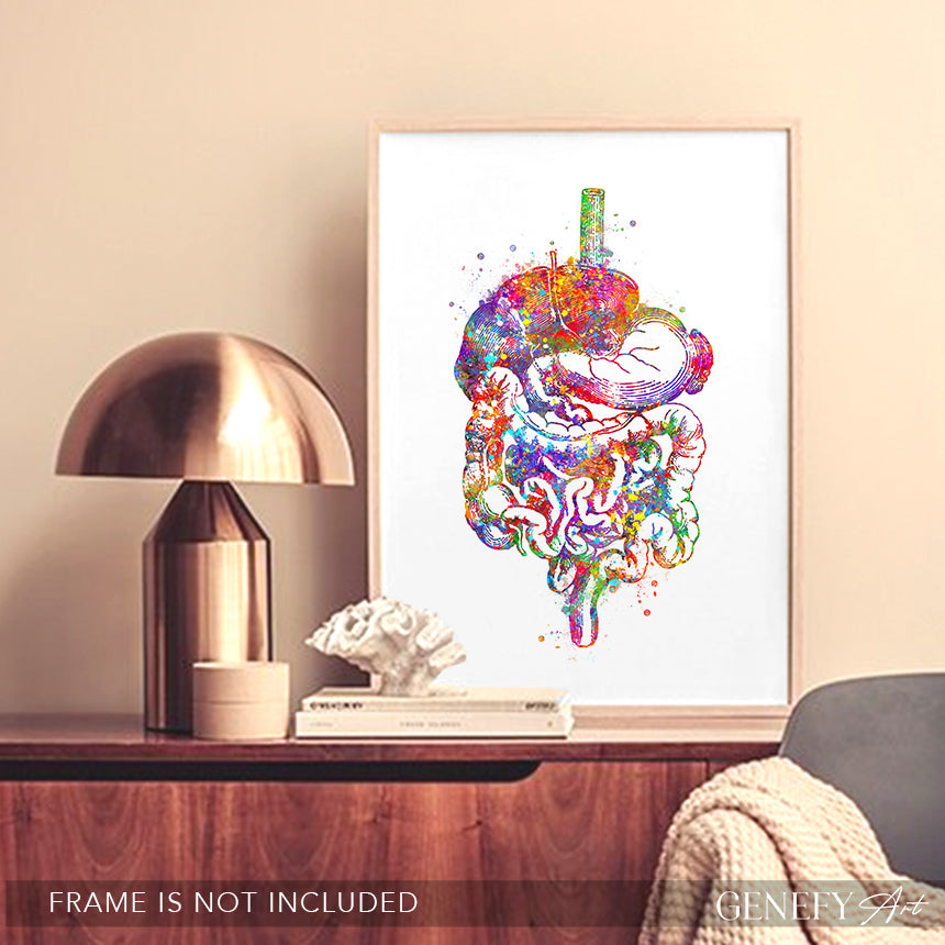 Digestive Tract Anatomy Watercolour Print