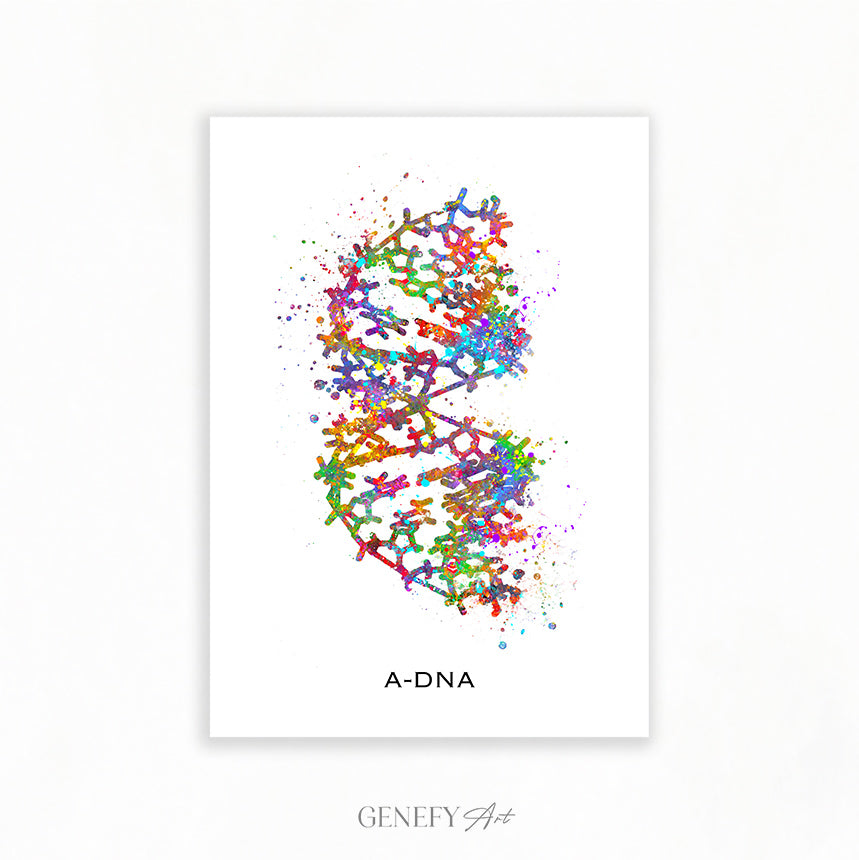 A-DNA Watercolour Art Print - Genefy Art