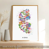 A-DNA Watercolour Art Print - Genefy Art