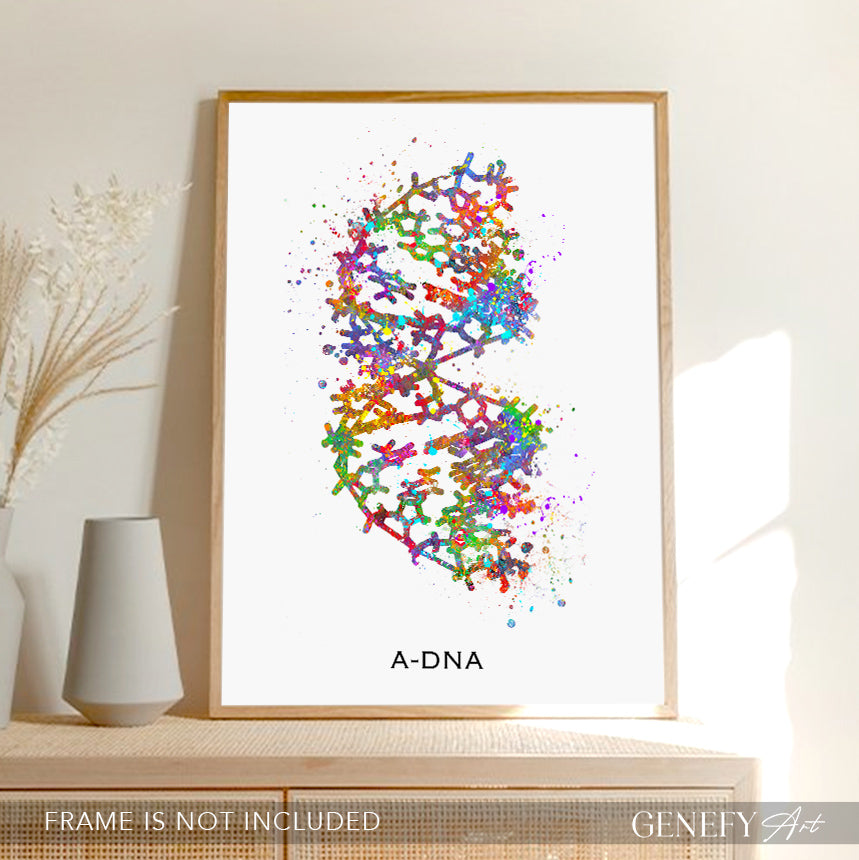 A-DNA Watercolour Art Print - Genefy Art