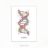 B-DNA Watercolour Art Print Genefy Art