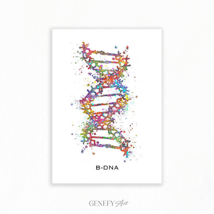 B-DNA Watercolour Art Print Genefy Art