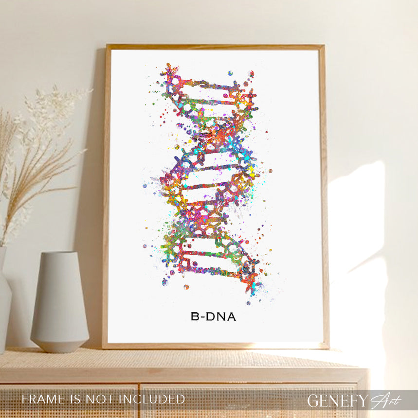 B-DNA Watercolour Art Print Genefy Art