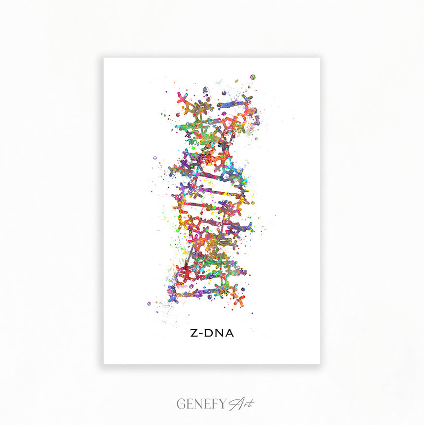 Z-DNA Watercolour Art Print Genefy Art