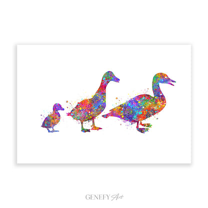 Duck Family of 3 Watercolour Print