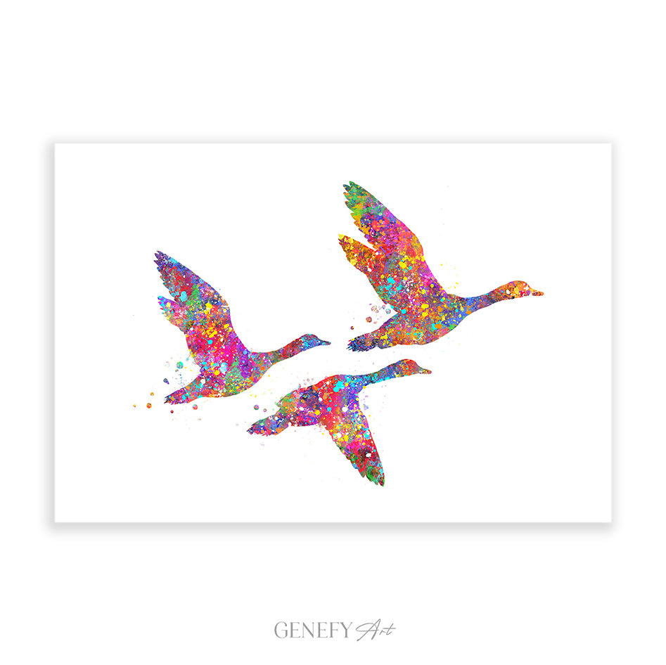 Duck Family of 3 Flying Watercolour Art Print