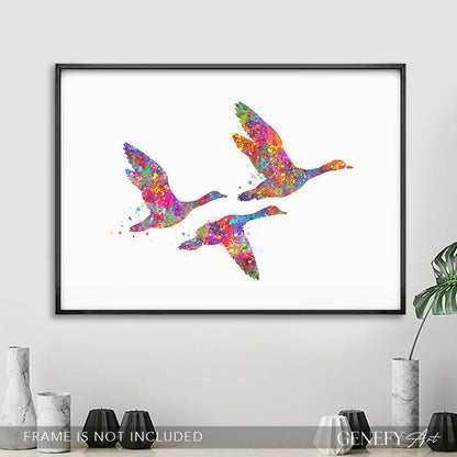 Duck Family of 3 Flying Watercolour Art Print