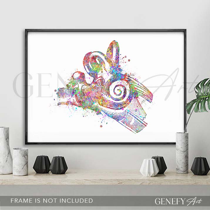 Ear Anatomy Watercolour Print
