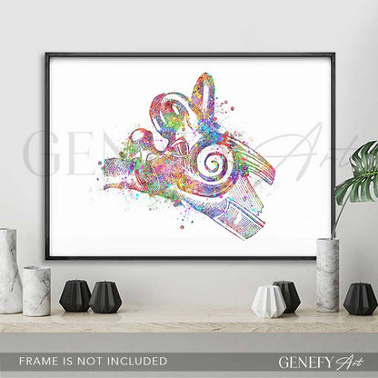 Ear Anatomy Watercolour Print