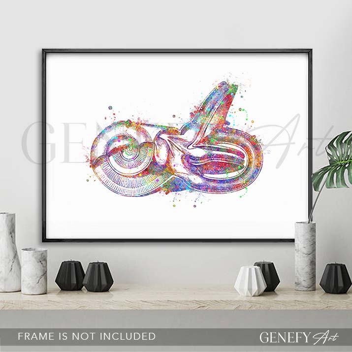 Ear Anatomy Watercolour Print