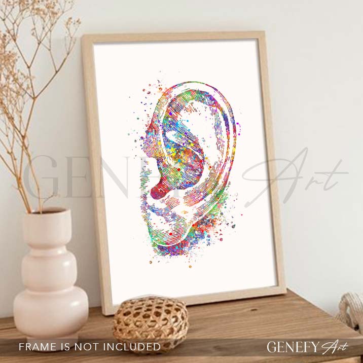 Ear Anatomy Watercolour Print