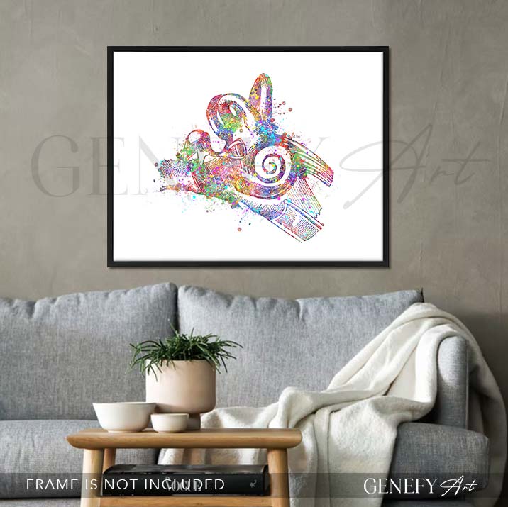 Ear Anatomy Watercolour Print