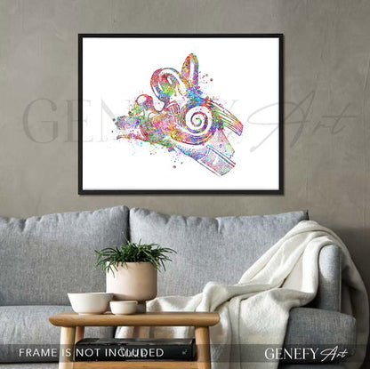 Ear Anatomy Watercolour Print