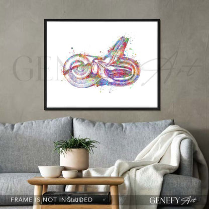 Ear Anatomy Watercolour Print